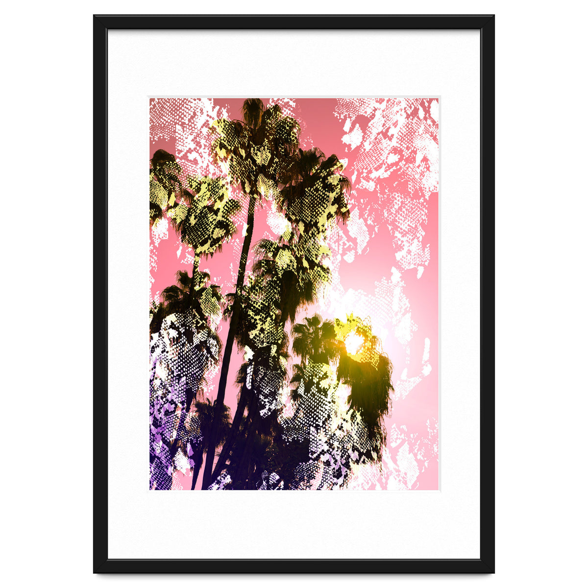 Snake sunset in paradise