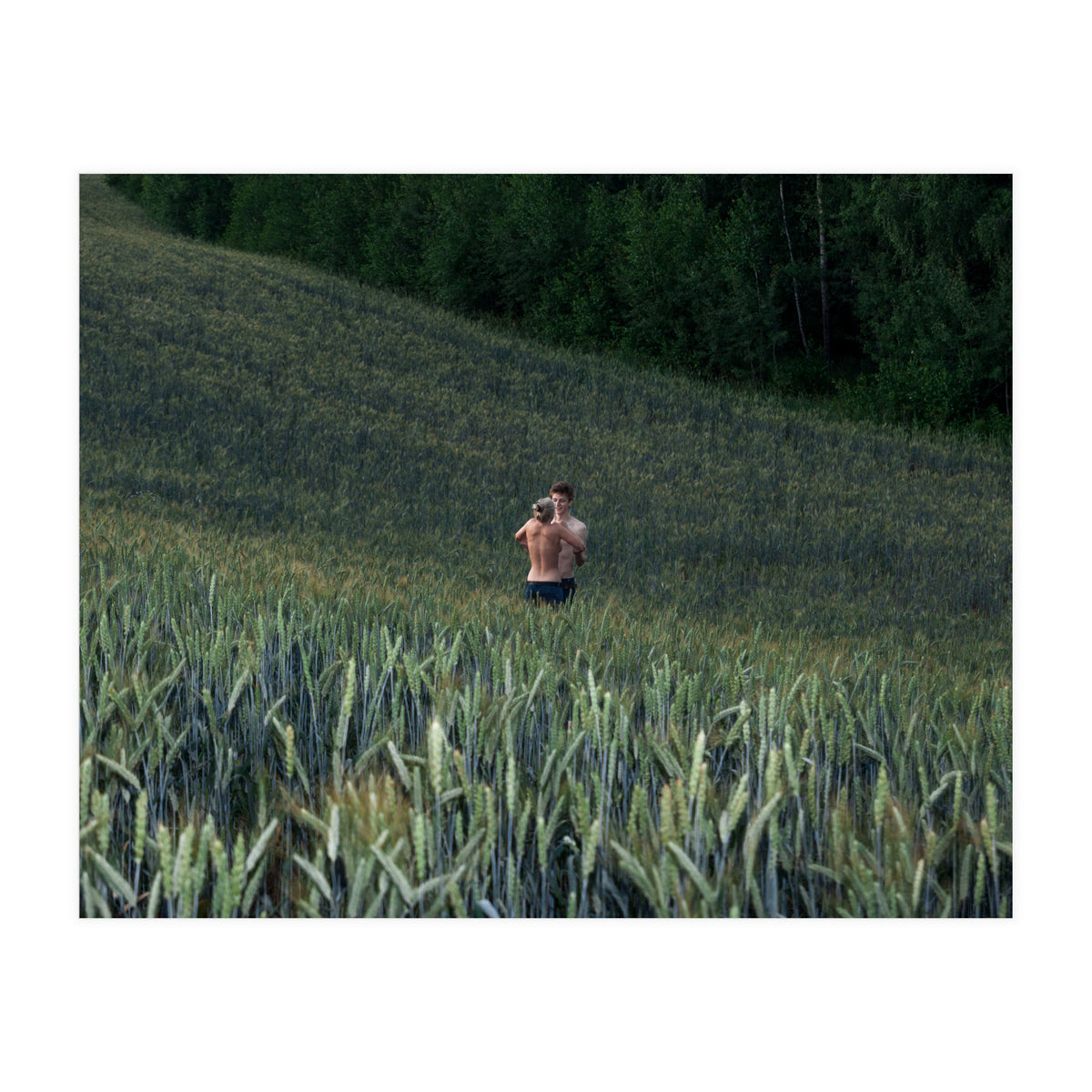 Endless Fields of Summer (Print Only)