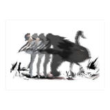 The Black Swan (Print Only) thumbnail