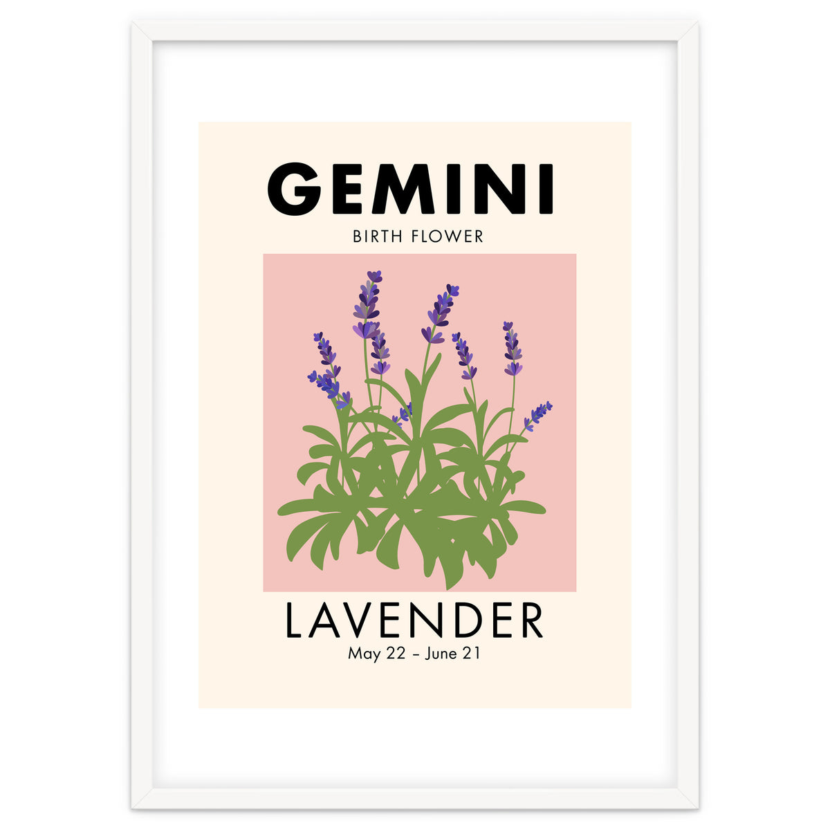 Gemini Birth Flower Lavender