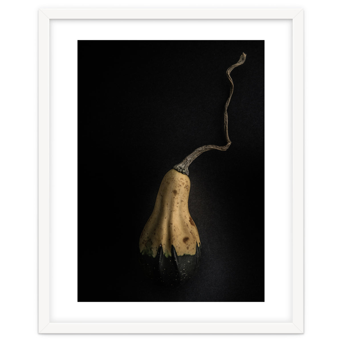 Gourds No 12 Color Version