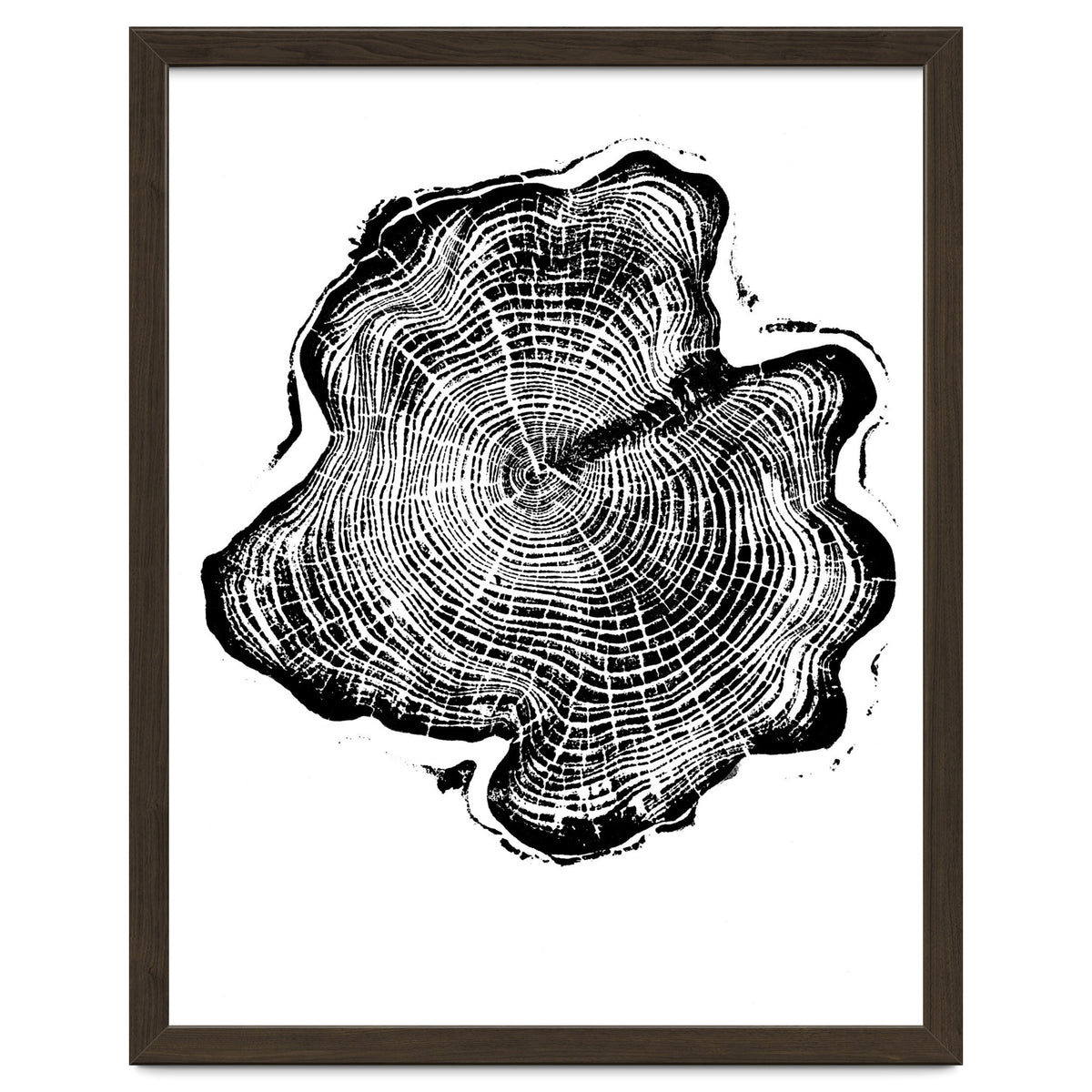 Alaskan Cypress, Tree Ring Art Print, Woodblock