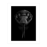 Snake lines (Print Only) thumbnail