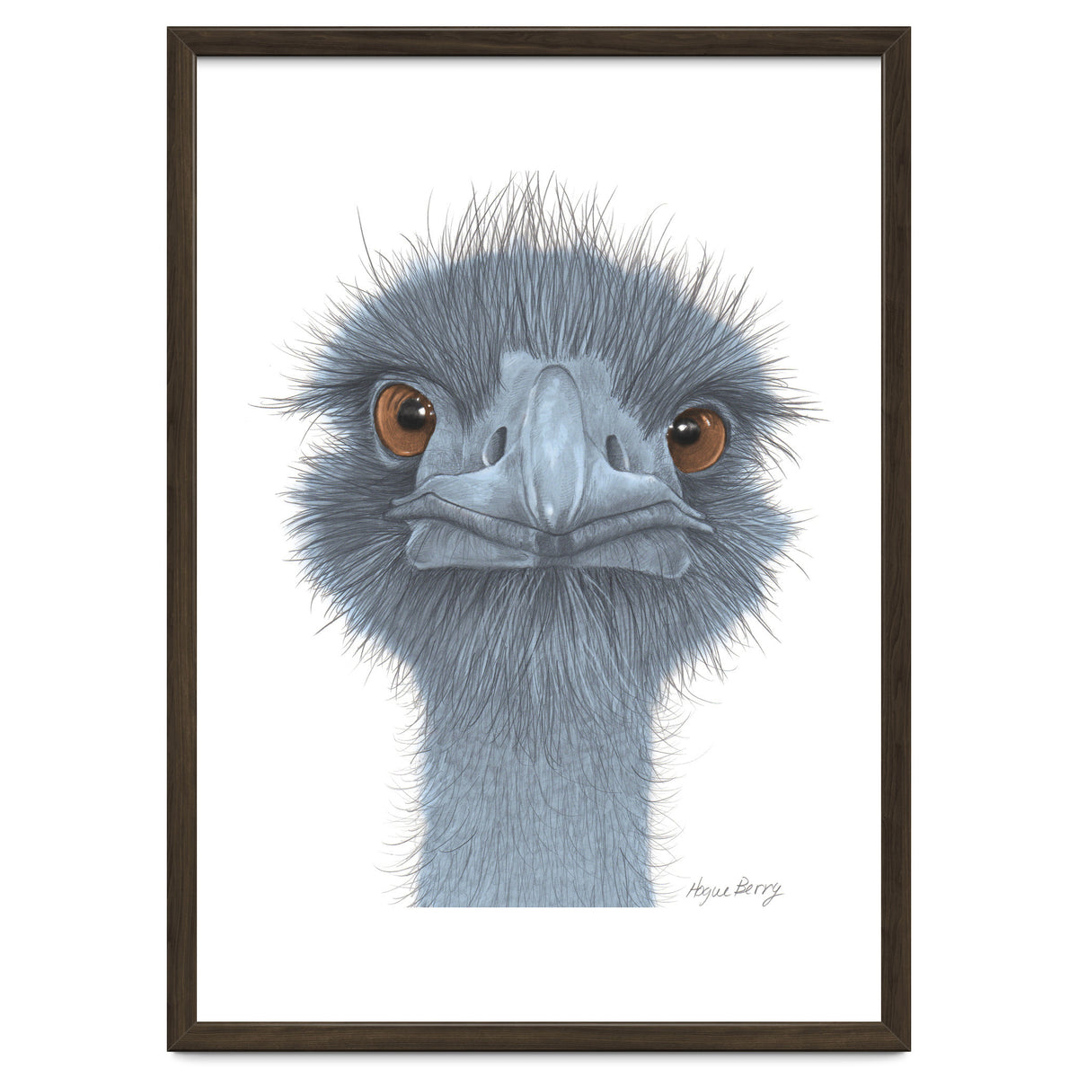 The Blue Emu