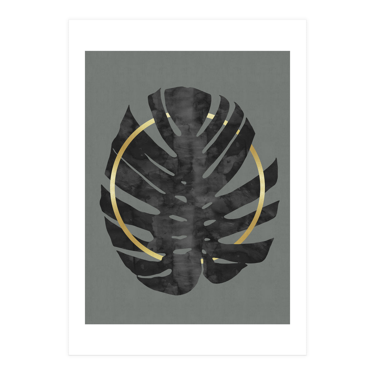 Monstera Deliciosa I (Print Only)