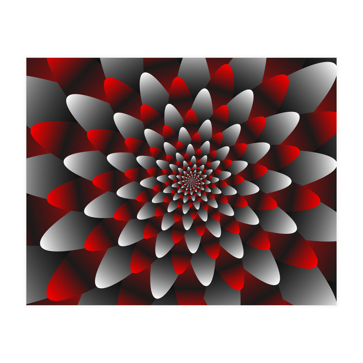 Beautiful Modern Flower Graphics (Print Only)