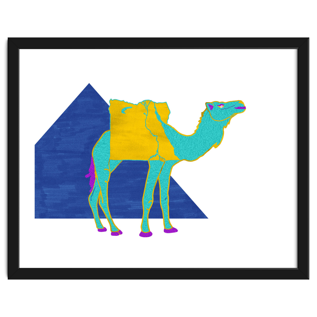 Egyptian Dromedary