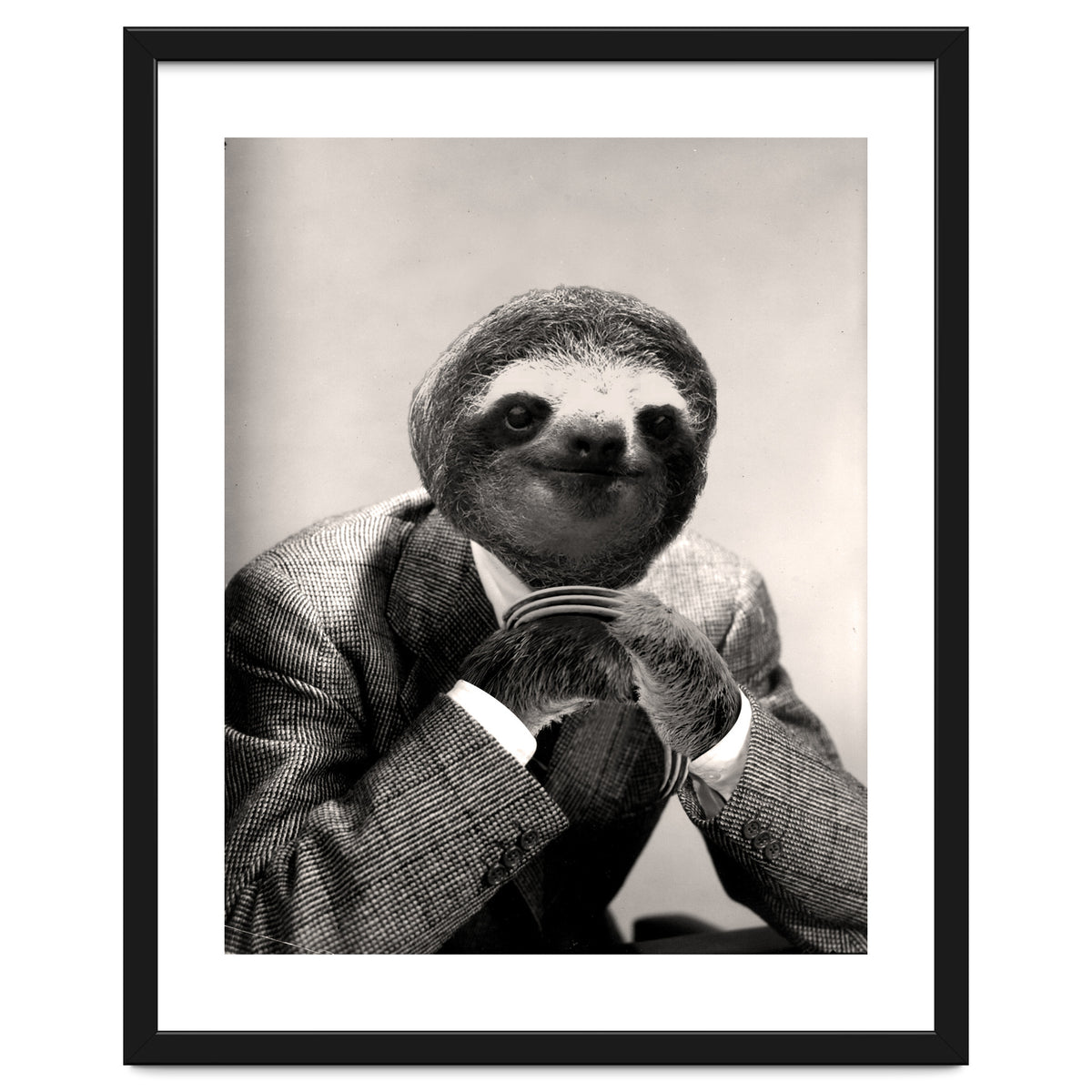 Gentleman Sloth 3