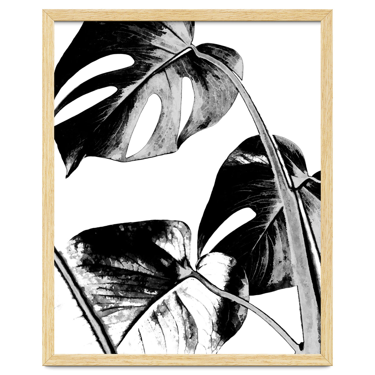 Black Tropical Leaves