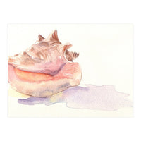 Conch Shell (Print Only)