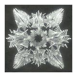 A Winged Debacle (Print Only) thumbnail