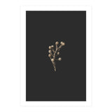 Gold Drops Botanicals (Print Only) thumbnail