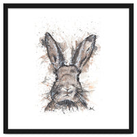 Rabbit - Wildlife Collection
