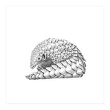 Pangolin (Print Only) thumbnail
