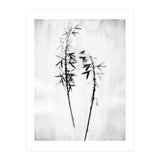 Hosta 2 (Print Only) thumbnail