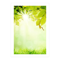 GREEN NATURE (Print Only)