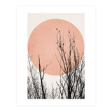 Sunset Dreams Rose (Print Only) thumbnail
