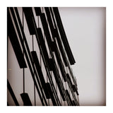 49297170 629 B 473 D B396 E6 A544 Fe82 Bb (Print Only) thumbnail
