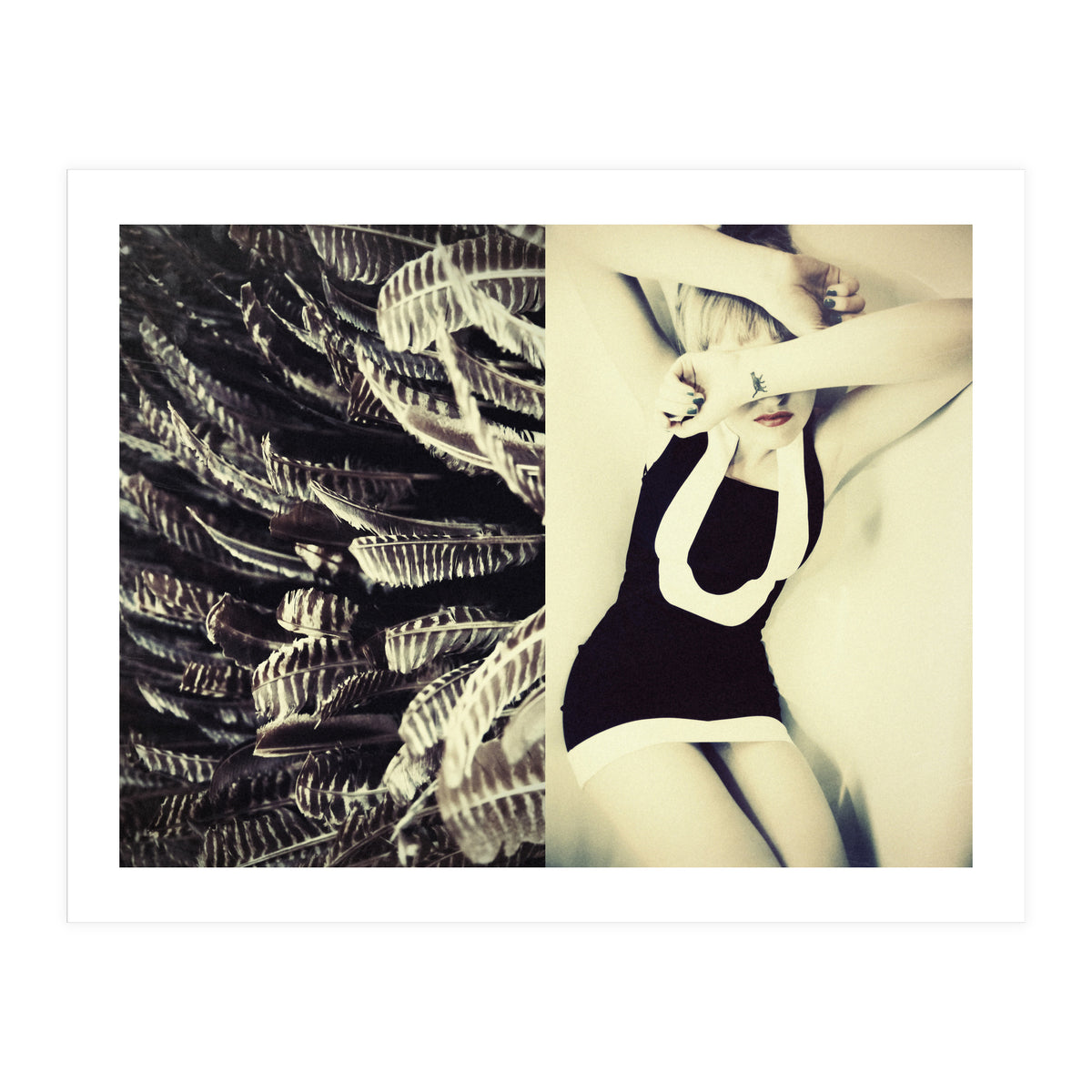 Featherish (Print Only)