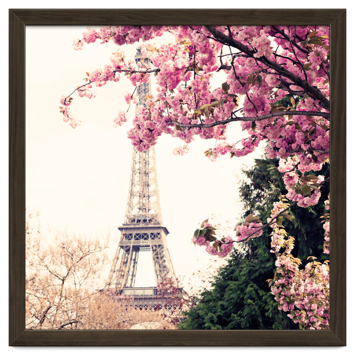Paris in the Spring