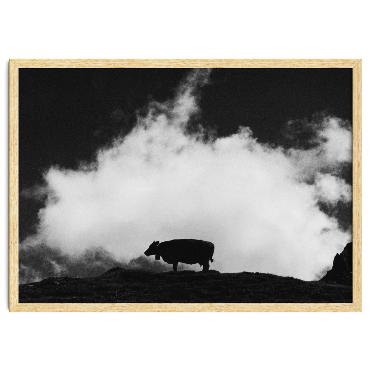 cow and cloud