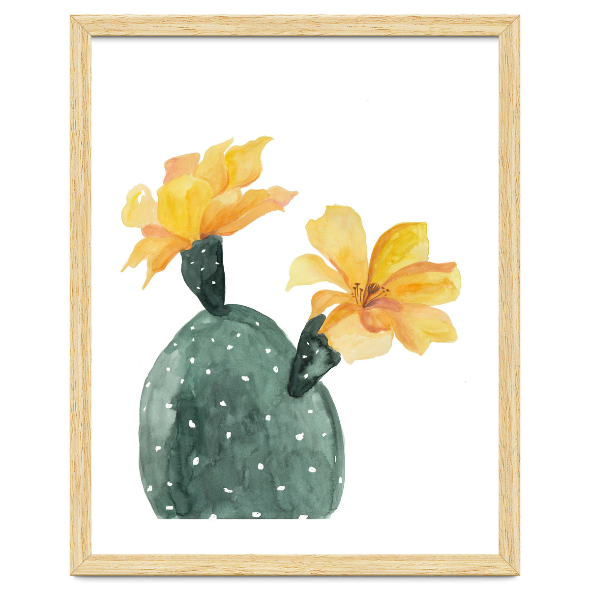 Botanical Illustration Yellow Cactus Flowers