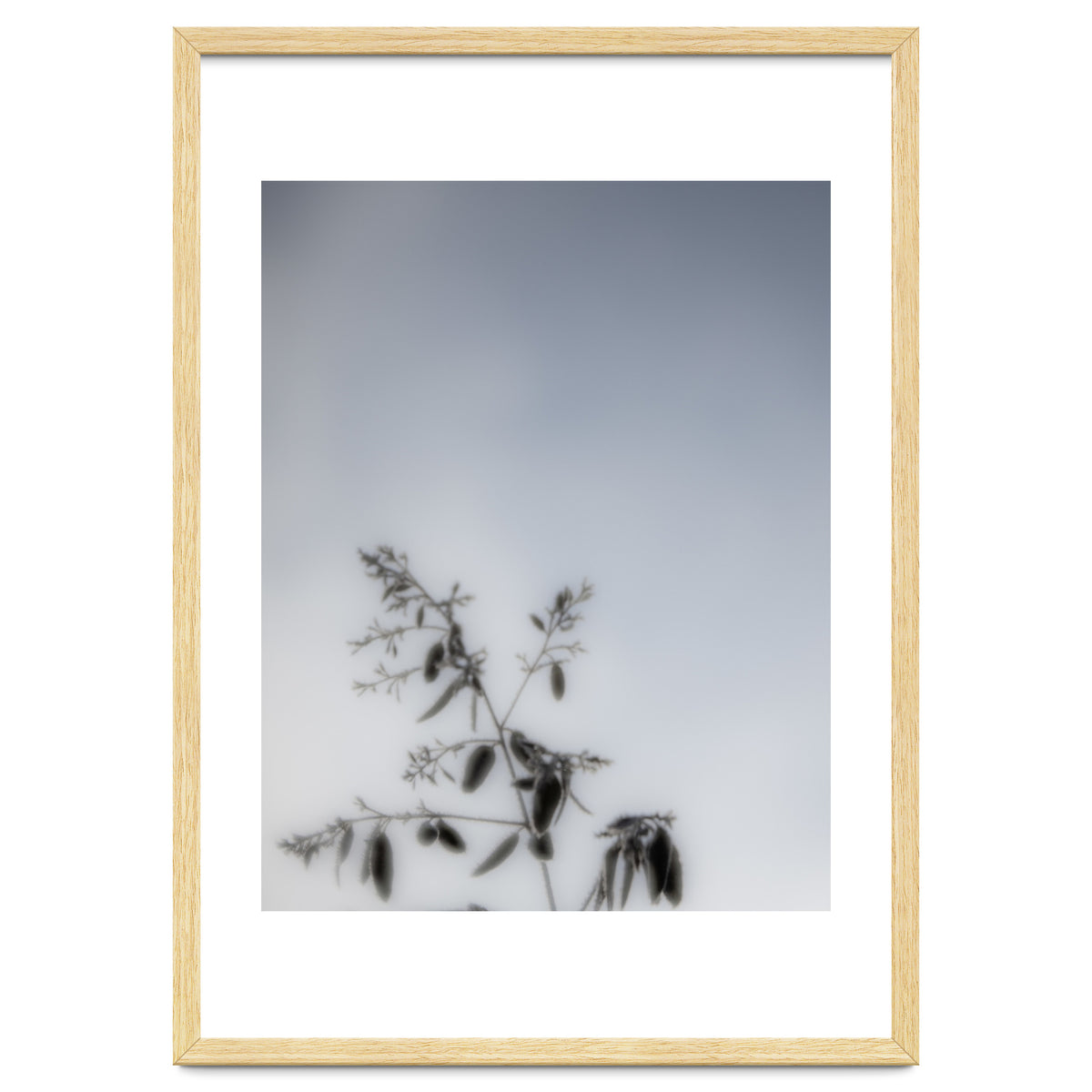 Forgotten Memories of Summer #17