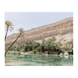 Tropical Oasis (Print Only) thumbnail