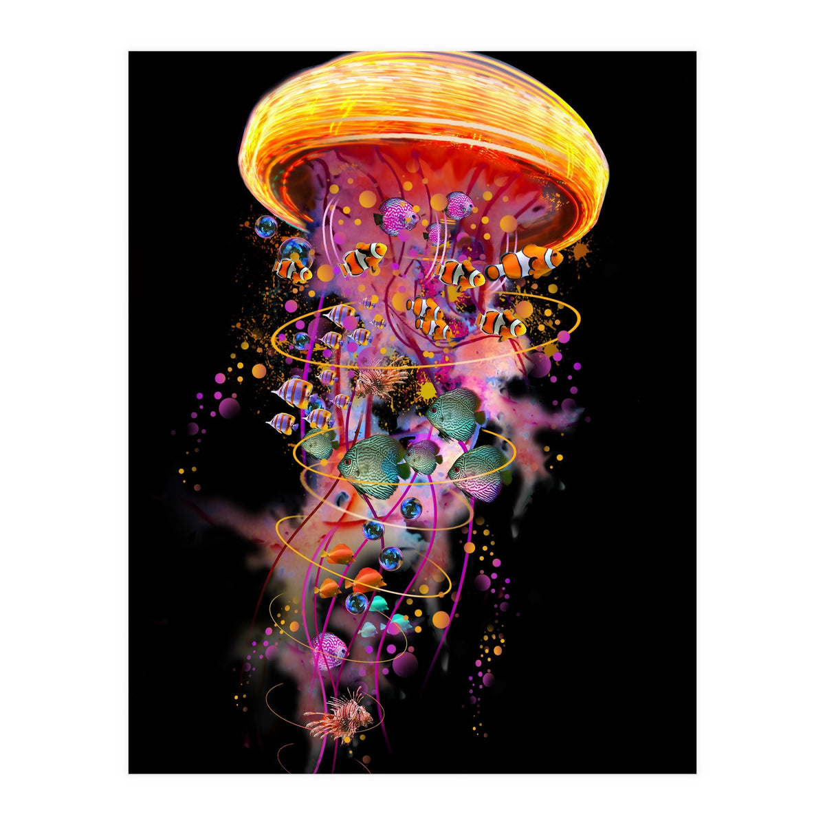 Jelly Fish Ride Summer2018 Dbh (Print Only)