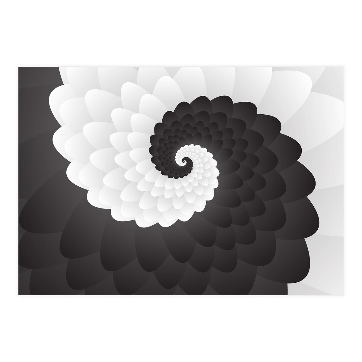 Mono Chrome Spiral Pattern  (Print Only)