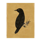 Black Bird (Print Only) thumbnail