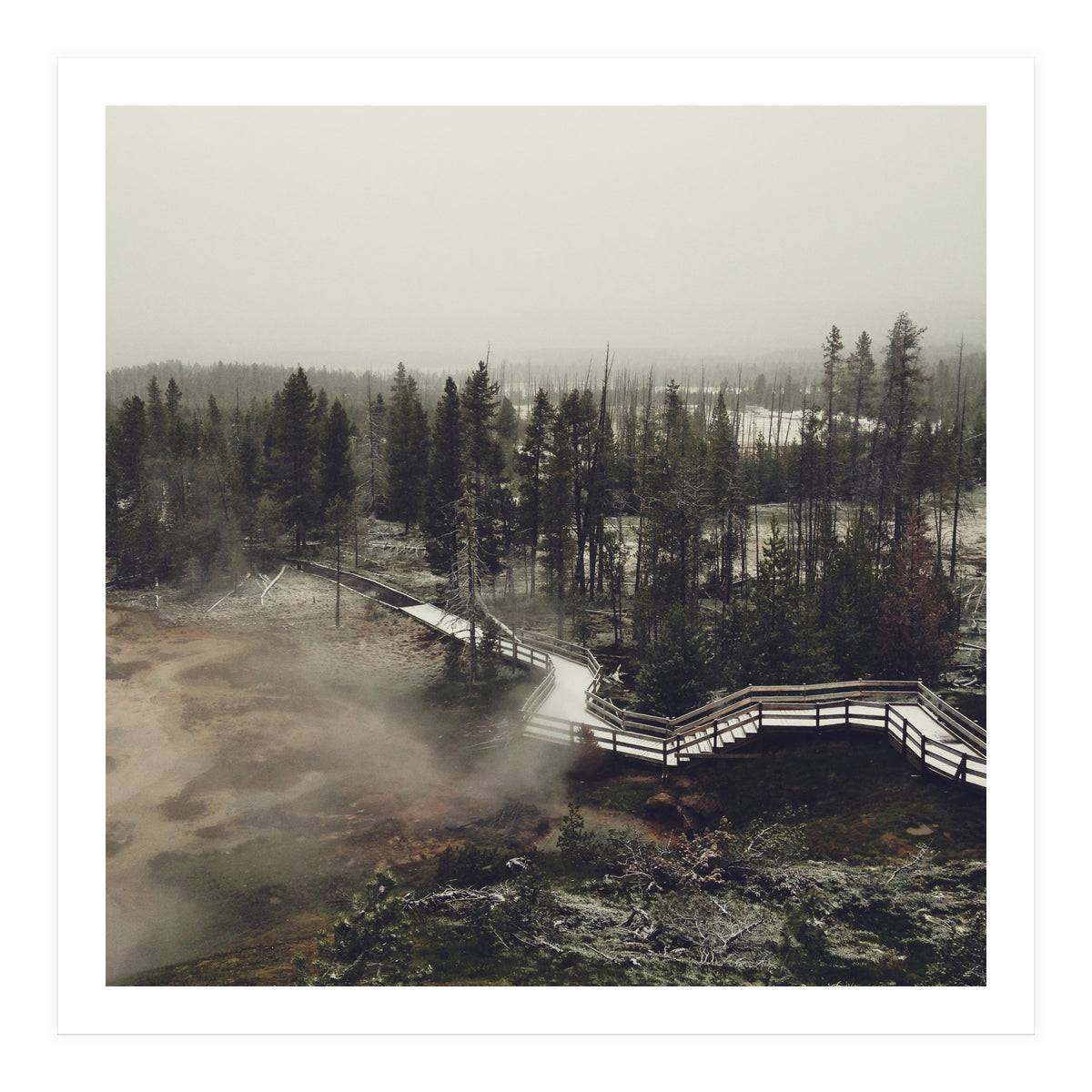 Artists Paint Pots (Print Only)