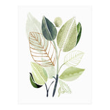 Spring Botanical Collage (Print Only) thumbnail