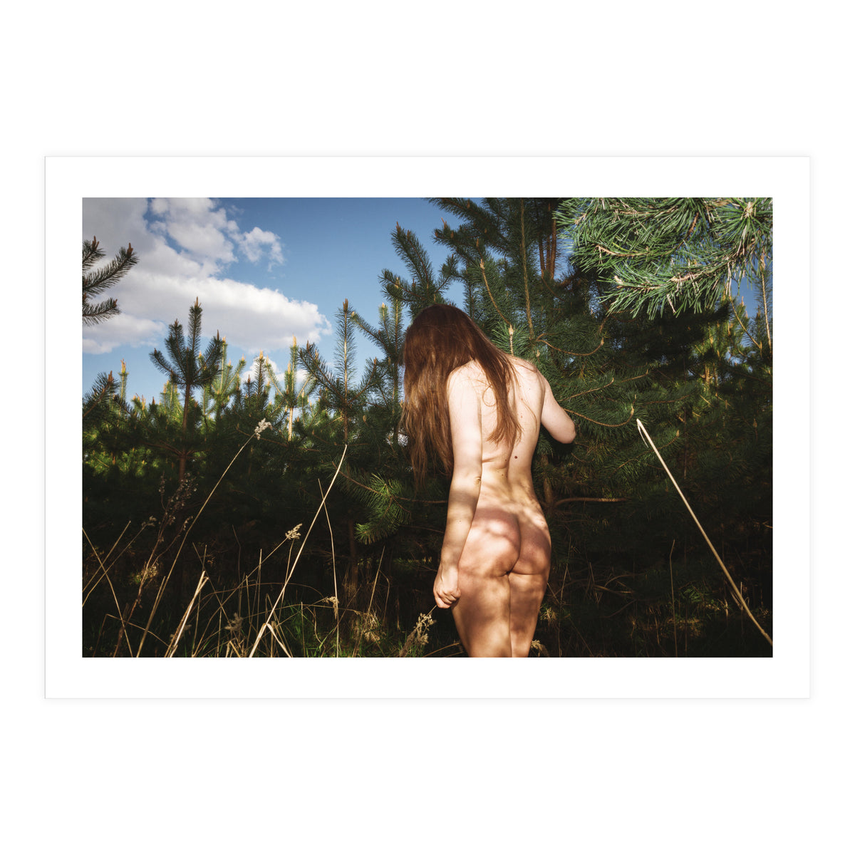 Hiding Game (Print Only)