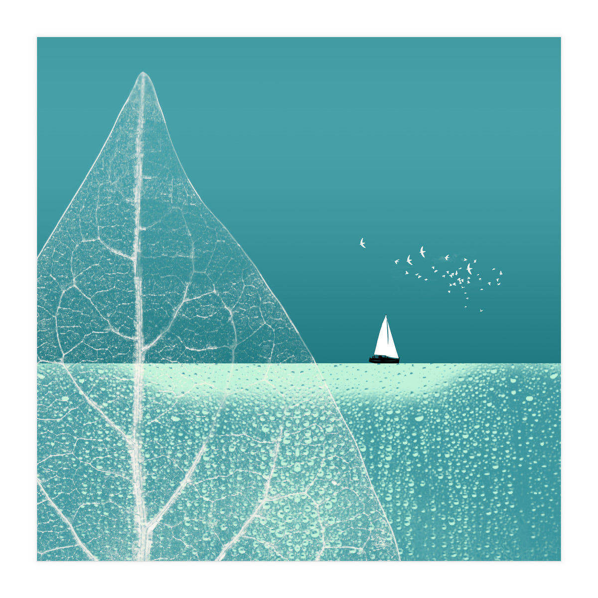 Ocean Wonderland Ii-B  (Print Only)