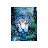 Galaxy Swim (Print Only) thumbnail