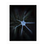 Sparkle Flower (Print Only) thumbnail