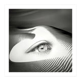 Untrue (Print Only) thumbnail