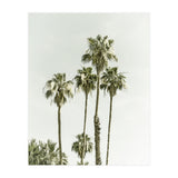 Palm Trees Summertime  (Print Only) thumbnail