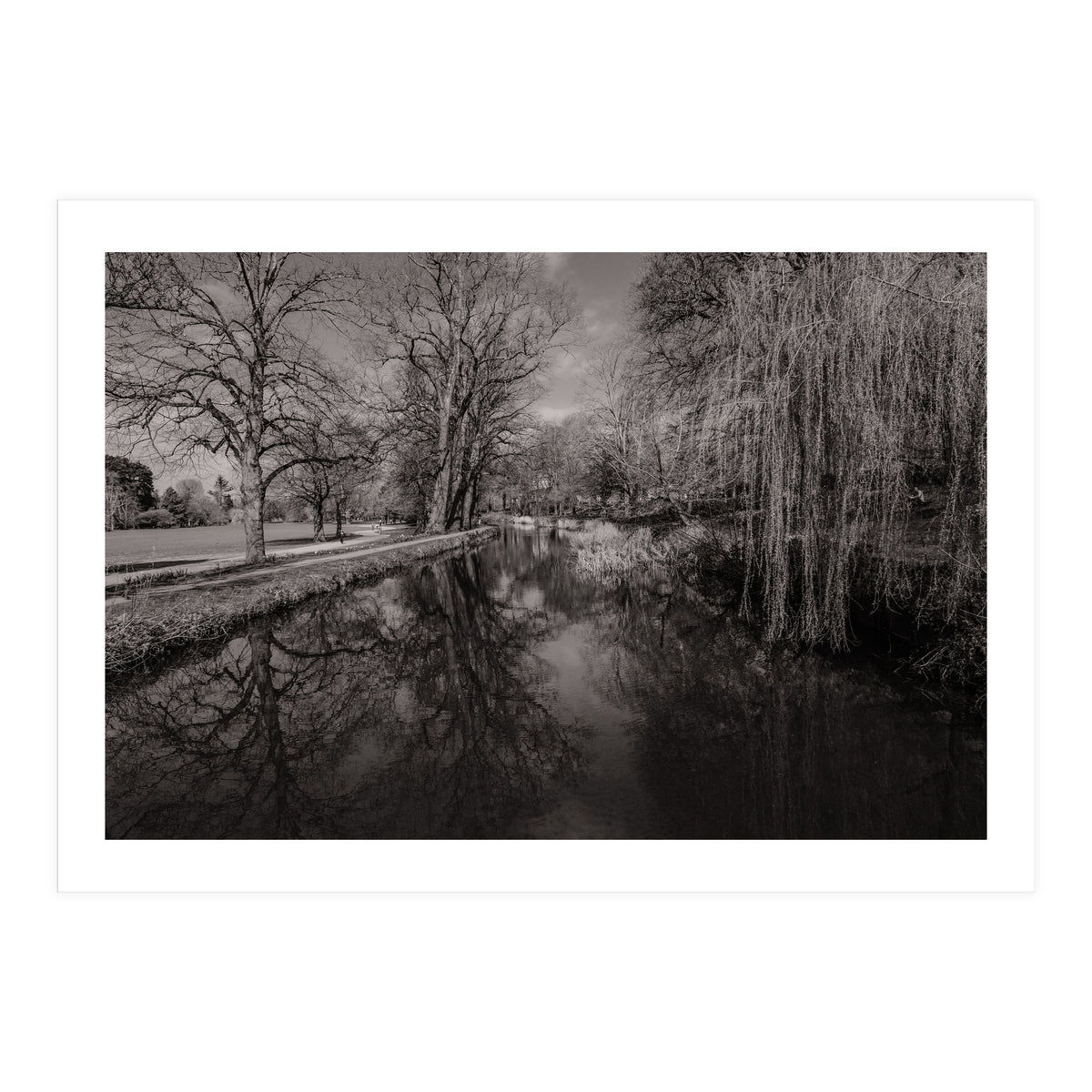 Bute Park, Cardiff  (Print Only)