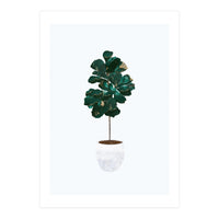 FIddle Leaf Fig gold and green (Print Only)