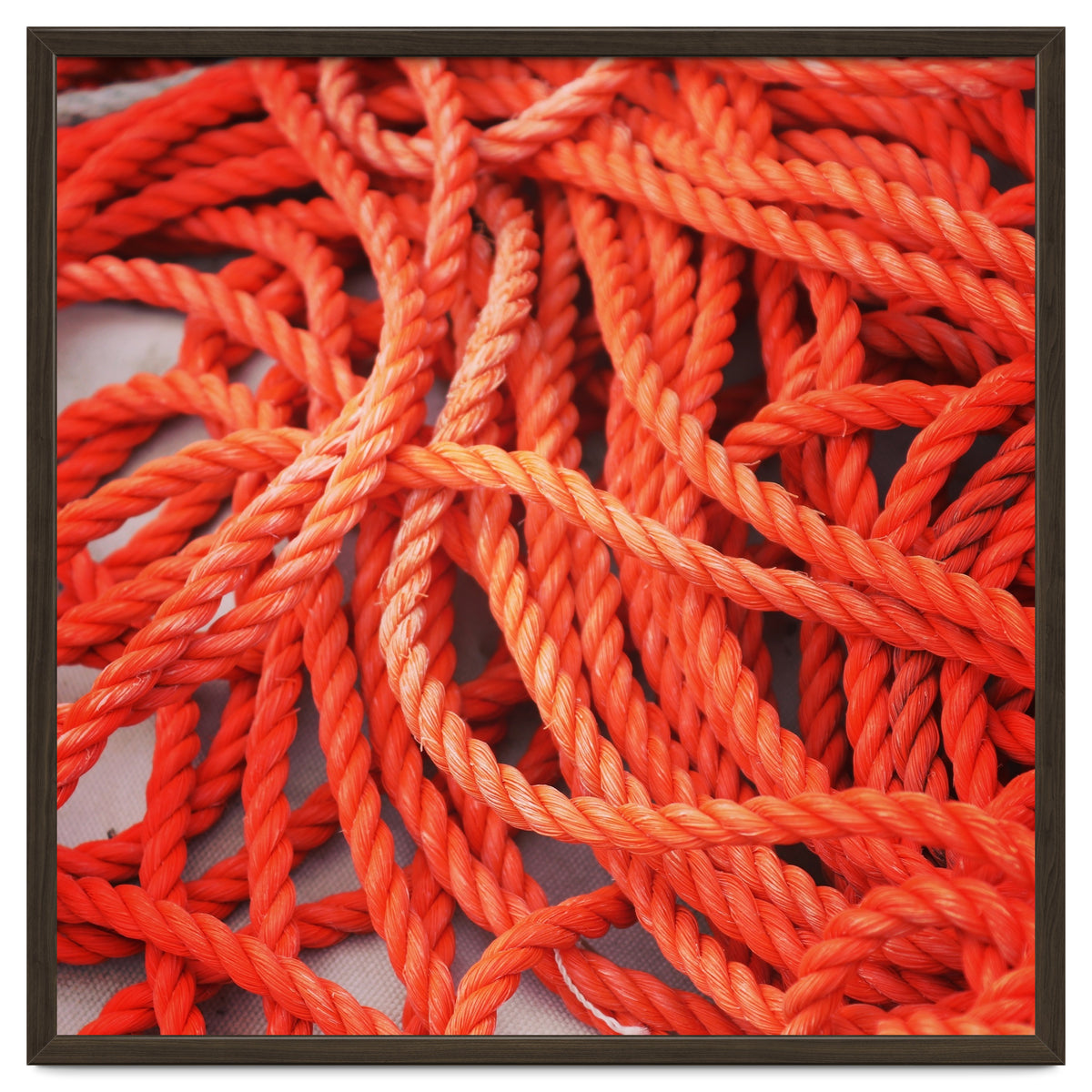 Orange ropes