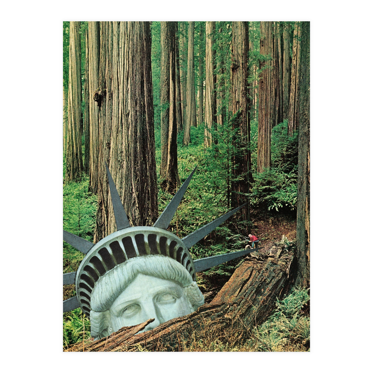 Multiverse (Print Only)