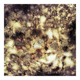 Demolition (Print Only) thumbnail