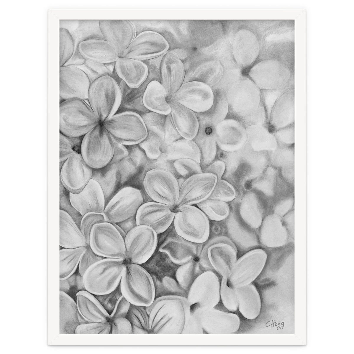 The Essence Of Spring in Monochrome