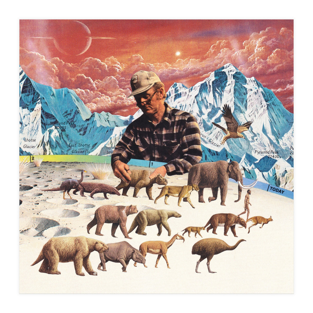 Evolution (Print Only)