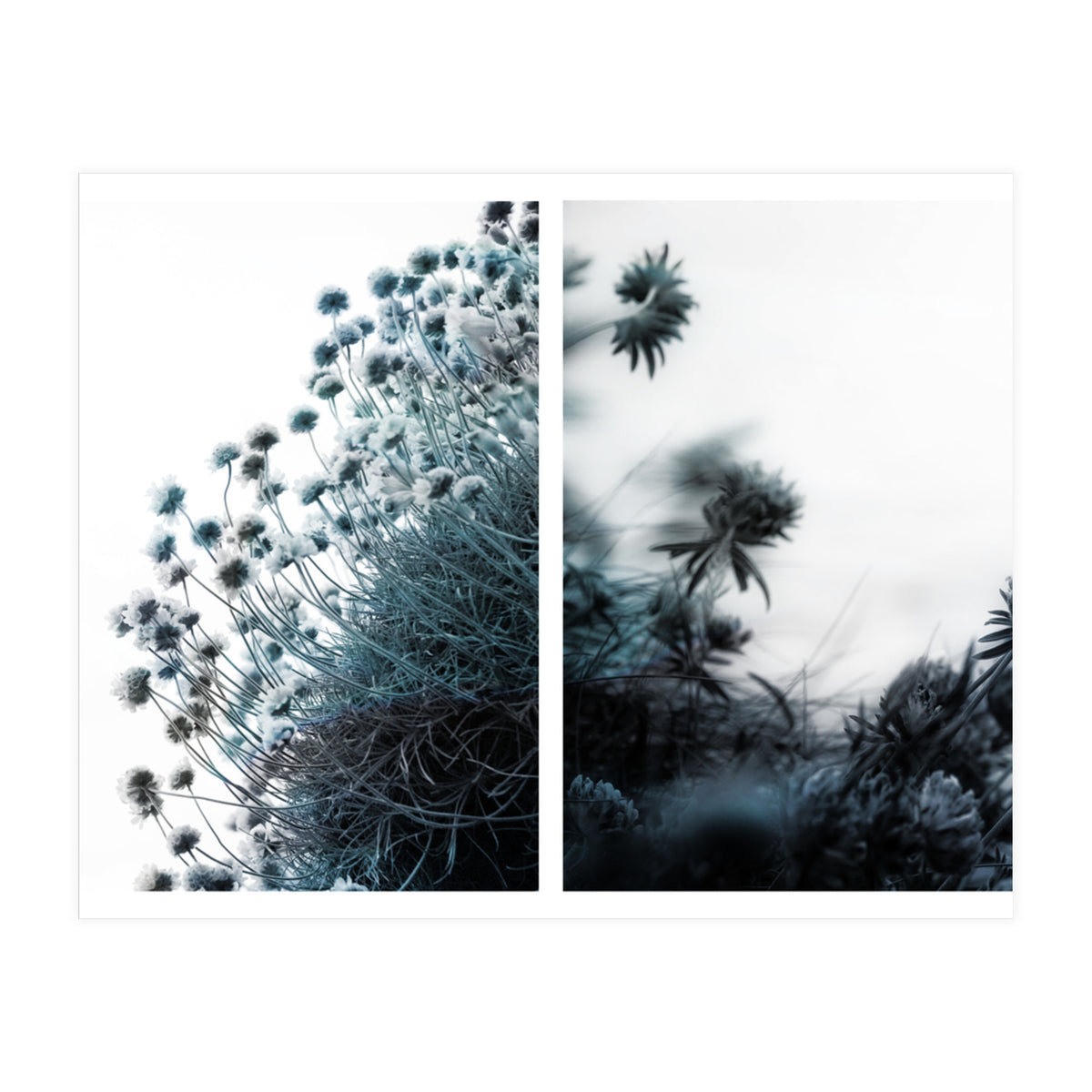 Andante (Print Only)