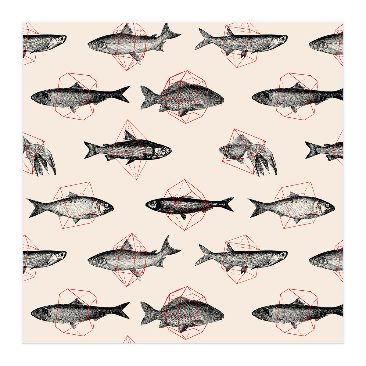 Fish In Geometrics  (Print Only)