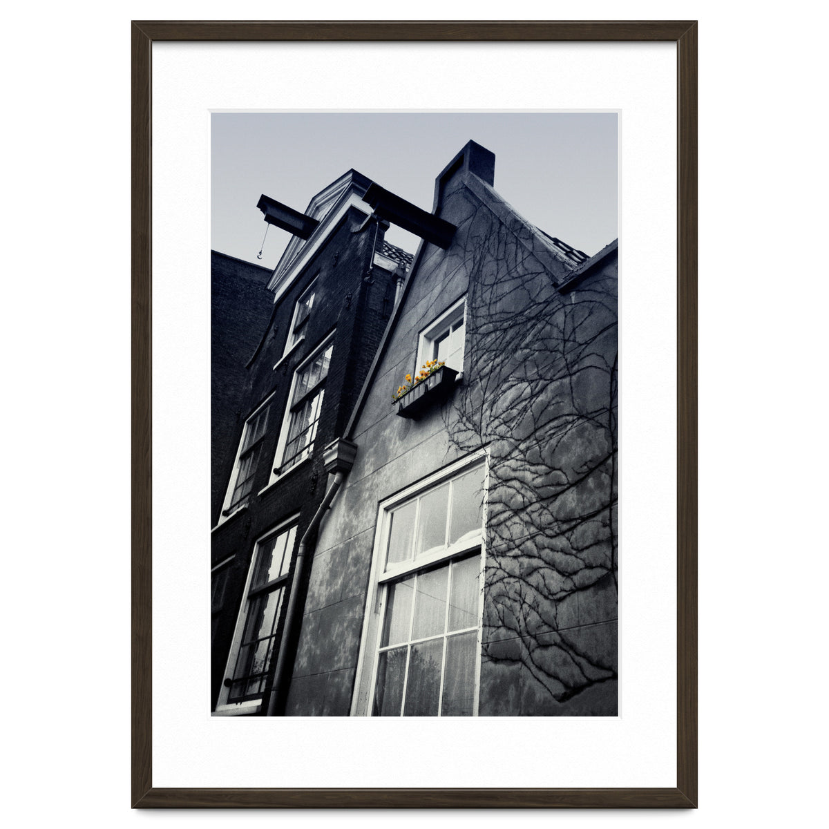 Amsterdam. House With Yellow Flowers.