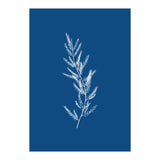 Blue Botanical II (Print Only) thumbnail